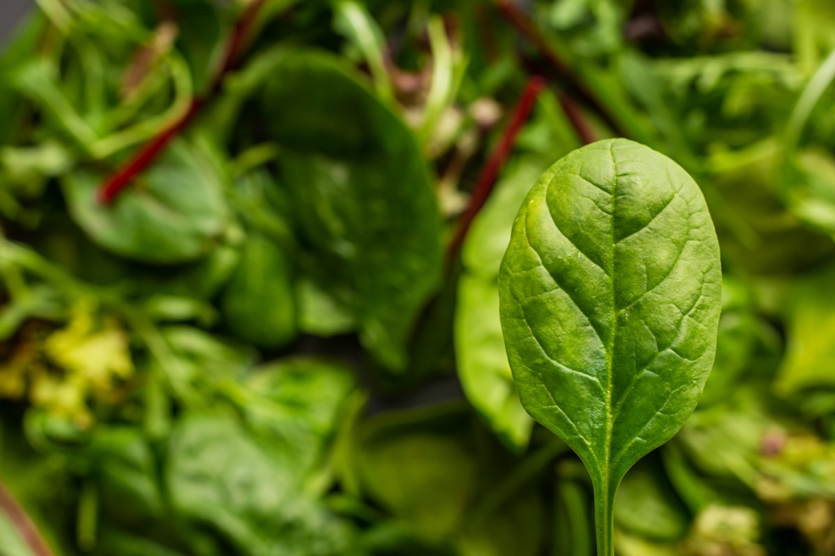 Verdure a foglia verde con luteina e zeaxantina