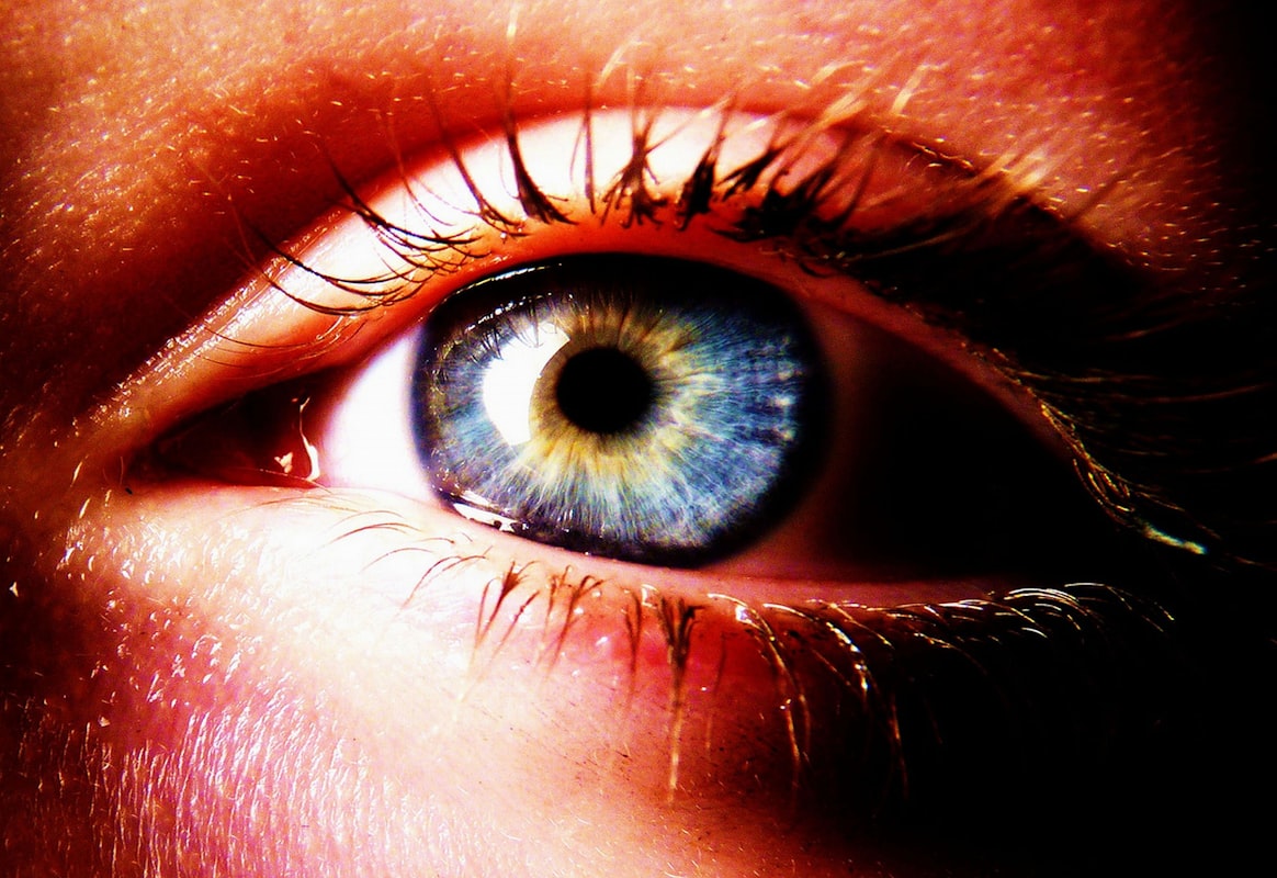 Nutrienti essenziali per la visione